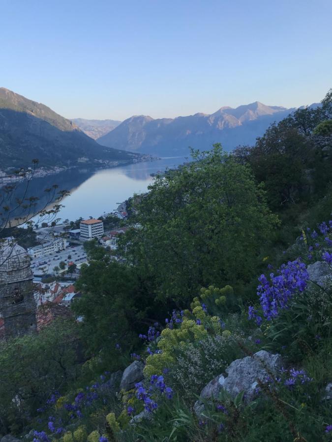 Romantic Rooftop View Hideaway- Old Town Nr 404 Kotor Exteriér fotografie